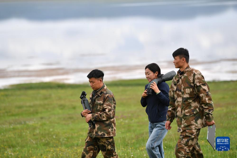 澳门新匍京怎么下载
